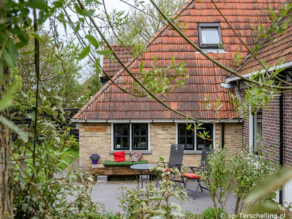 De Boschplaat, Solo-Reisen an der Friesische Kste